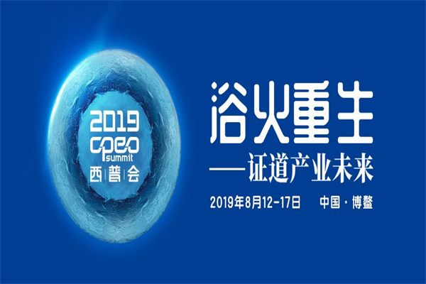 2019年西普會(中國健康產業生態大會)嘉賓演講PPT資料合集（共54套打包）