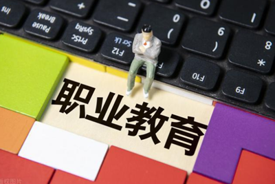 2025年職業教育/成人教育報告報告合集（共43套打包）