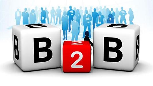 2025年B2B/B2C報告合集（共45套打包）