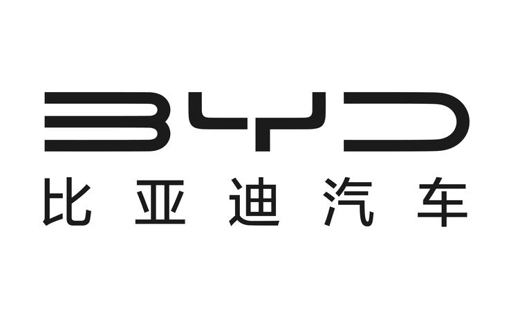 2025年比亞迪報告合集（共31套打包）
