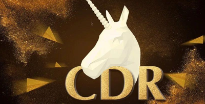 2025年獨角獸CDR報告合集（共47套打包）