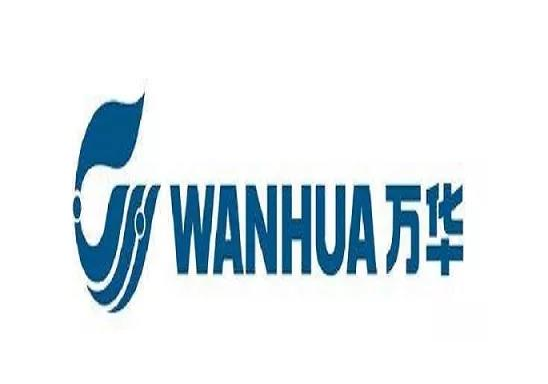 2025年萬華化學報告合集（共50套打包）