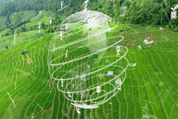 2025年溫室氣體/溫室效應報告合集（共28套打包）