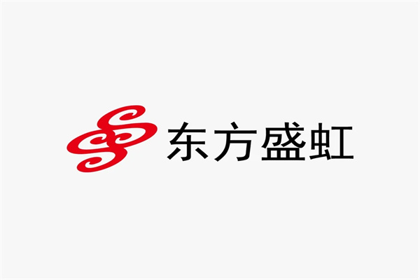 2025年東方盛虹歷年年報/社會責任報告合集（共15套打包）