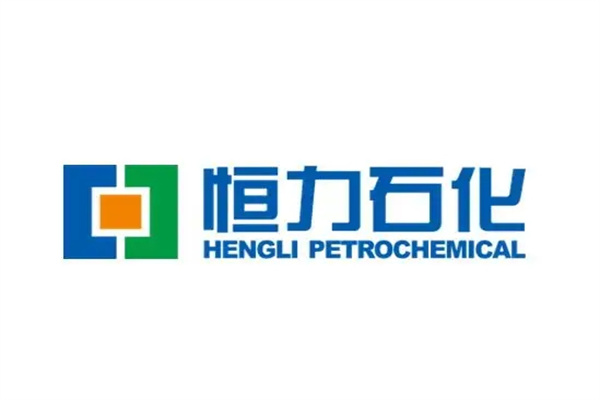 2025年恒力石化公司研究/年報/社會責任報告合集（共14套打包）