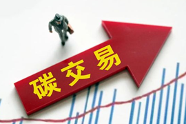 碳交易市場專題，碳交易市場報告下載