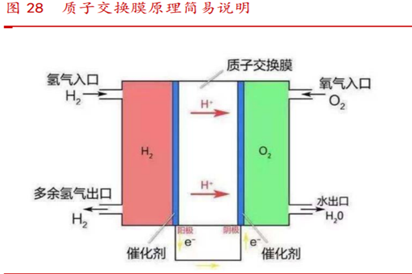 什么是質子交換膜？種類及特性介紹