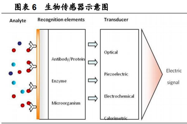 什么是生物傳感器？有哪些？工作原理是？