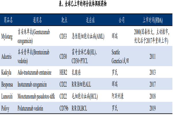 什么是抗體偶聯藥物？已上市的抗體偶聯藥物有哪些？
