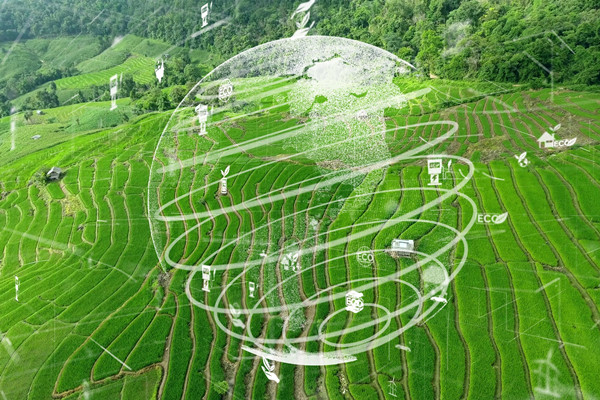 什么是功能農業？是干什么的？前景如何?