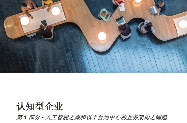 IBM：人工智能之旅和以平臺為中心的業務架構之崛起(16頁)(附下載地址)