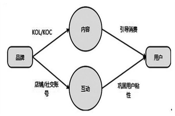 koc什么意思？和kol的區別有哪些？有什么不同?