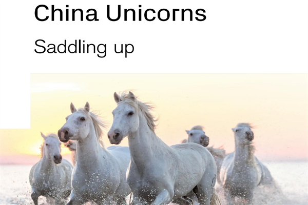 瑞信銀行(Credit?Suisse)：2021中國獨角獸投資策略分析報告.pdf(附下載)