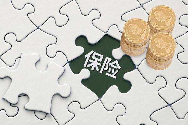 寵物保險是什么？現狀，及在中國的發展歷程一覽
