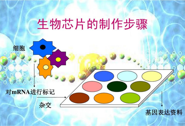 什么是生物芯片？產業鏈和相關公司介紹