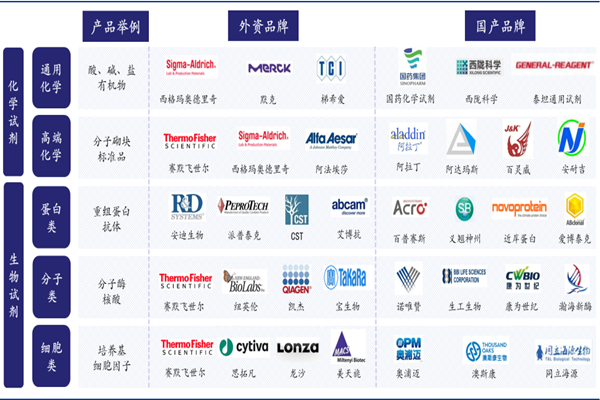 生命科學工具和服務包括哪些？各領域龍頭企業梳理
