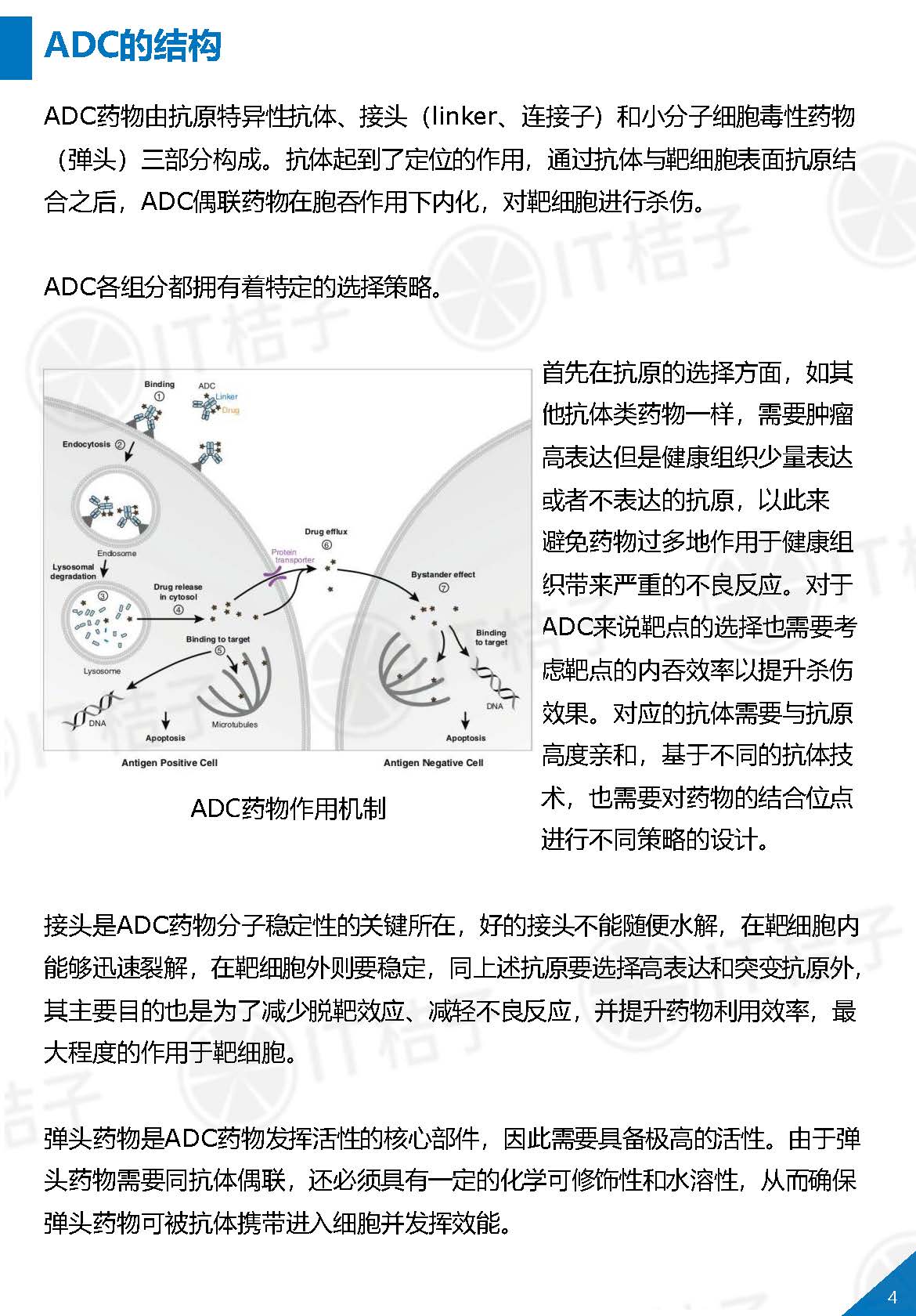 1_頁面_05.jpg