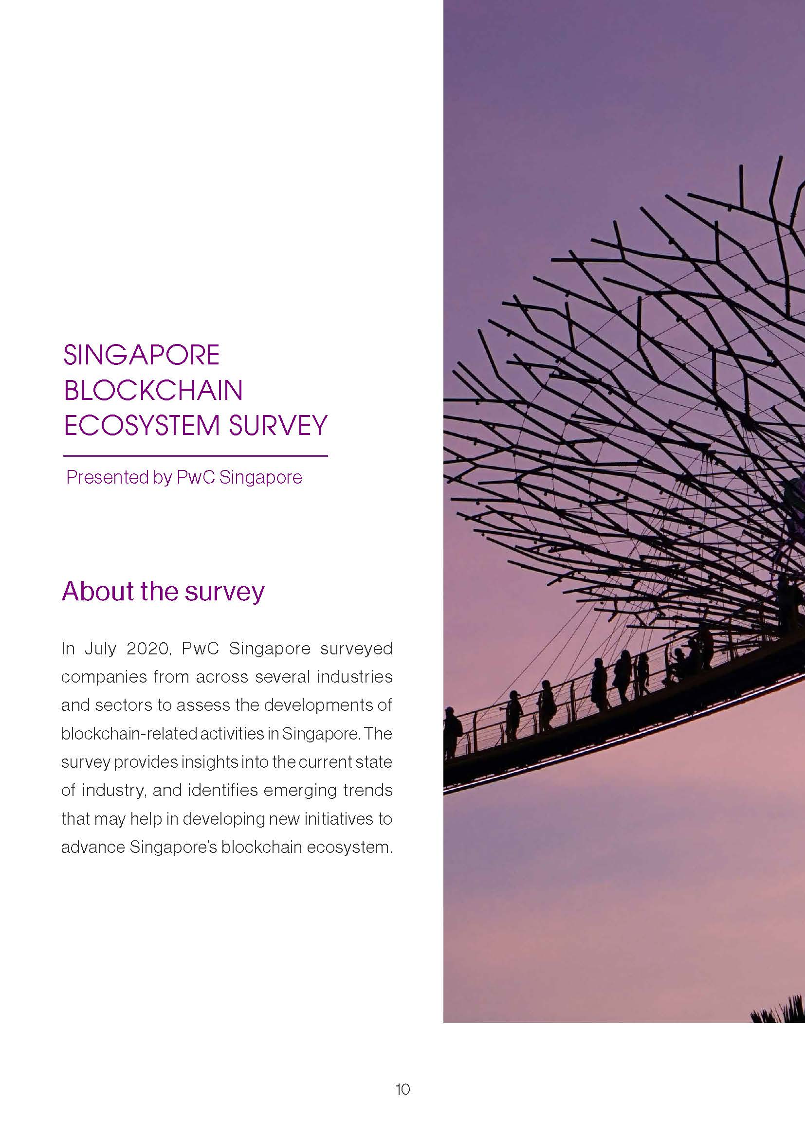 Singapore Blockchain Report 2020 - Infocomm Media & Monelary Authority_頁面_10.jpg