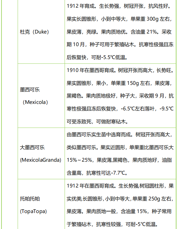 牛油果有幾個品種