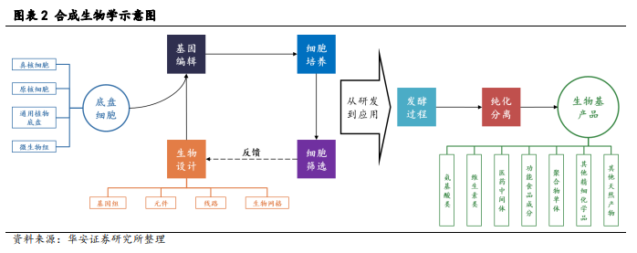 合成生物學 合成生物學
