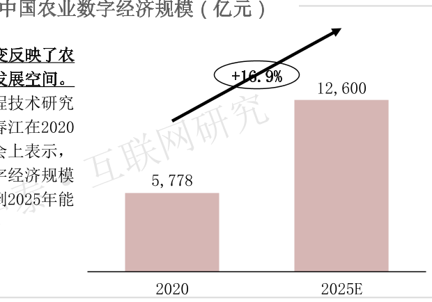 中國農業數字經濟規模（億元）
